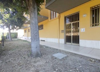 Foto 29 - Trilocale Porto San Giorgio - foto 29