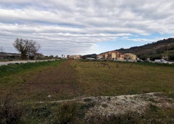 Foto 7 - Villa Campofilone - foto 6