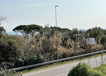 Foto 27 - Villa contrada abbadetta, Fermo - foto 27