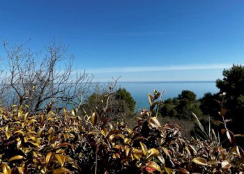 Foto 35 - Villa a Schiera CONTRADA CANTAGALLO, Fermo - foto 35