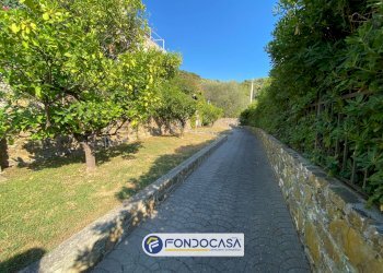 Foto 17 - Monolocale Via Pian Grande, Andora - foto 17