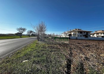 Foto 5 - Terreno edificabile strada provinciale 20, Rosciano - foto 5