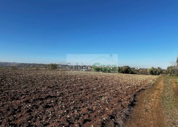 Foto 10 - Terreno edificabile strada provinciale 20, Rosciano - foto 10