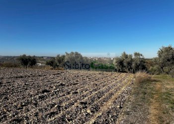 Foto 13 - Terreno edificabile strada provinciale 20, Rosciano - foto 13