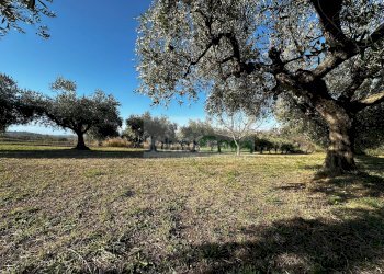 Foto 16 - Terreno edificabile strada provinciale 20, Rosciano - foto 16