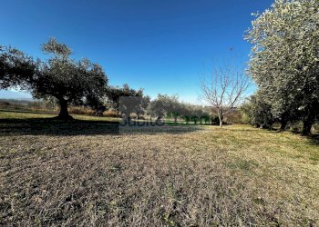 Foto 17 - Terreno edificabile strada provinciale 20, Rosciano - foto 17