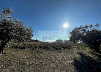 Foto 18 - Terreno edificabile strada provinciale 20, Rosciano - foto 18