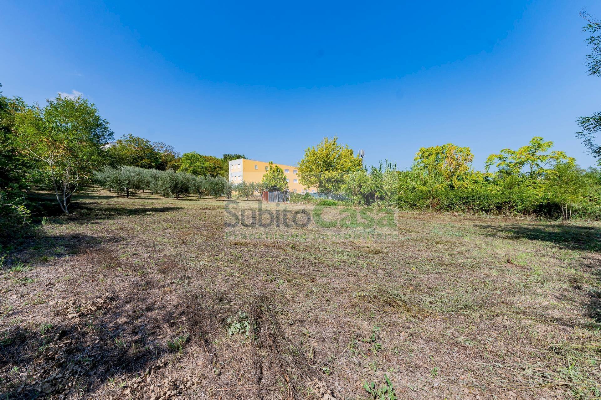 Foto 1 - Agricultural land Via Pignatelli, Cepagatti - photo 1