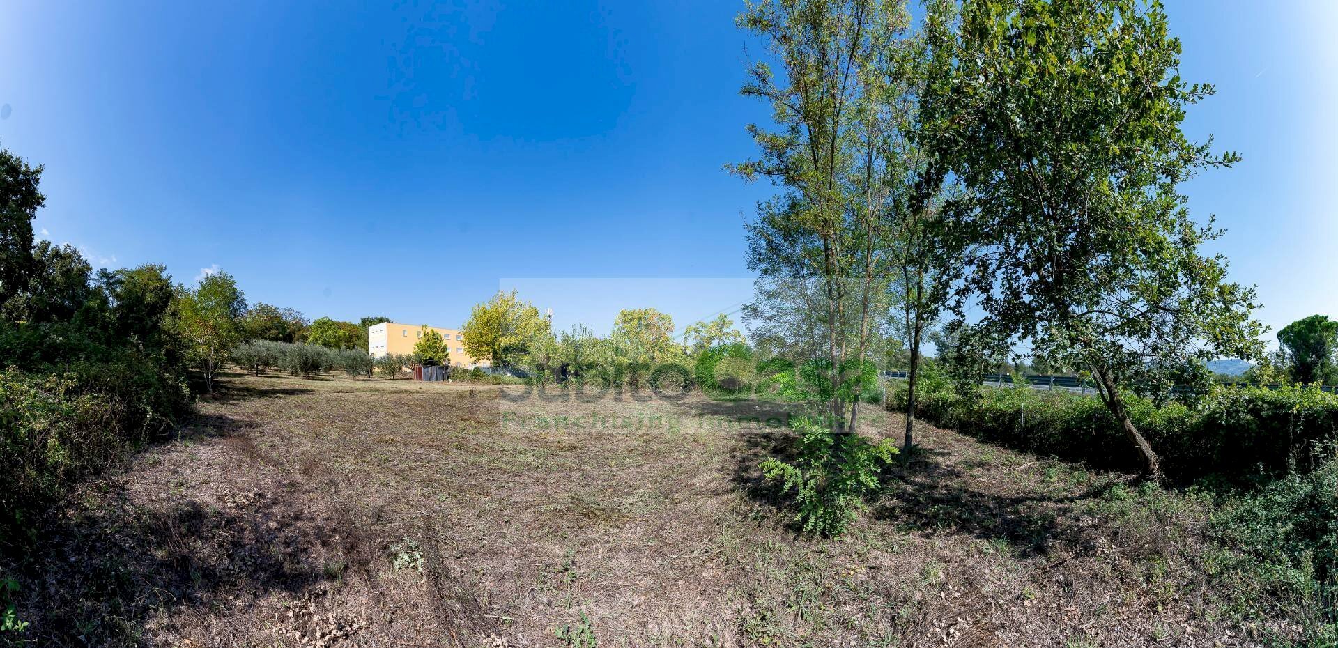 Foto 3 - Agricultural land Via Pignatelli, Cepagatti - photo 3