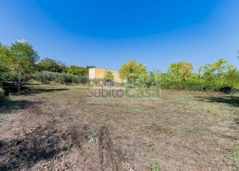 Foto 1 - Agricultural land Via Pignatelli, Cepagatti - photo 1