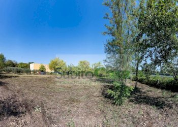 Foto 3 - Agricultural land Via Pignatelli, Cepagatti - photo 3