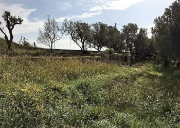 Foto 1 - Terreno edificabile Località Lenza, Catanzaro - foto 1