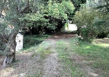 Foto 7 - Terreno edificabile Località Lenza, Catanzaro - foto 7