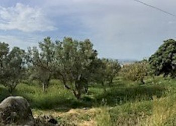 Foto 9 - Terreno edificabile Località Lenza, Catanzaro - foto 9