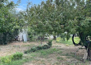 Foto 33 - Villa Contrada Marincoli, Simeri Crichi - foto 33