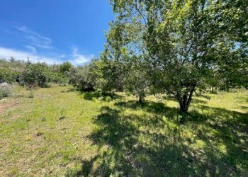 Foto 13 - Villa Zaccanopoli - foto 13