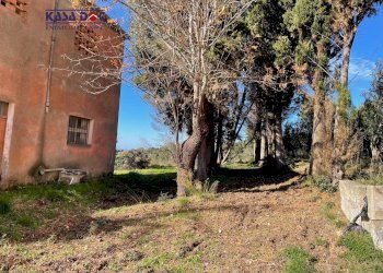 Foto 3 - Rustico Località Millea, Tiriolo - foto 3