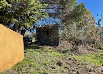 Foto 4 - Rustico Località Millea, Tiriolo - foto 4