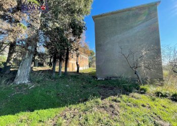 Foto 5 - Rustico Località Millea, Tiriolo - foto 5