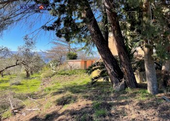 Foto 6 - Rustico Località Millea, Tiriolo - foto 6