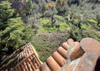 Foto 7 - Rustico Località Millea, Tiriolo - foto 7