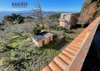 Foto 9 - Rustico Località Millea, Tiriolo - foto 9