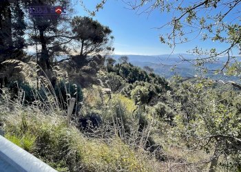 Foto 18 - Rustico Località Millea, Tiriolo - foto 18