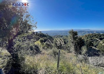 Foto 19 - Rustico Località Millea, Tiriolo - foto 19