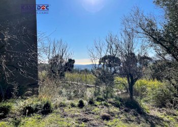 Foto 20 - Rustico Località Millea, Tiriolo - foto 20