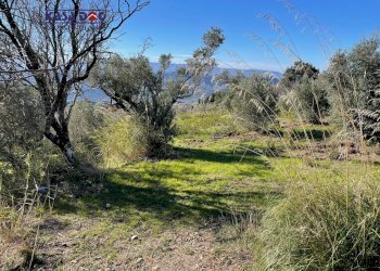 Foto 21 - Rustico Località Millea, Tiriolo - foto 21