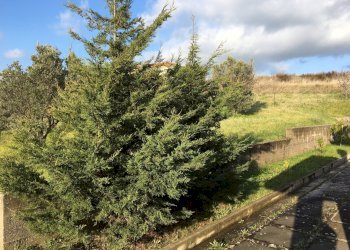 Foto 16 - Villa Via Solferino, Catanzaro - foto 16