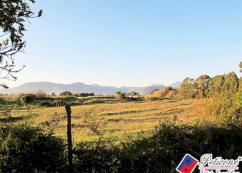 Foto 3 - Terreno agricolo Via flacca km 8400
 
55, Fondi - foto 3