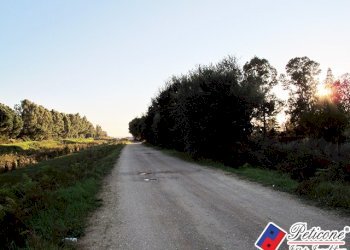 Foto 6 - Terreno agricolo Via flacca km 8400
 
55, Fondi - foto 6