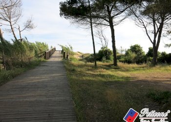 Foto 21 - Trilocale via dello Spalviero
 
45, Fondi - foto 19