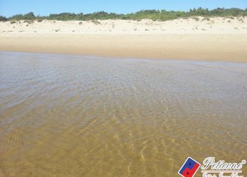 Foto 22 - Trilocale via dello Spalviero
 
45, Fondi - foto 20