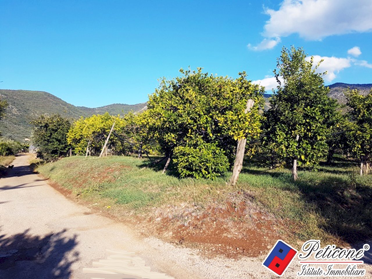 Foto 13 - Agricultural land Via Madonna degli Angeli
 
333, Fondi - photo 1