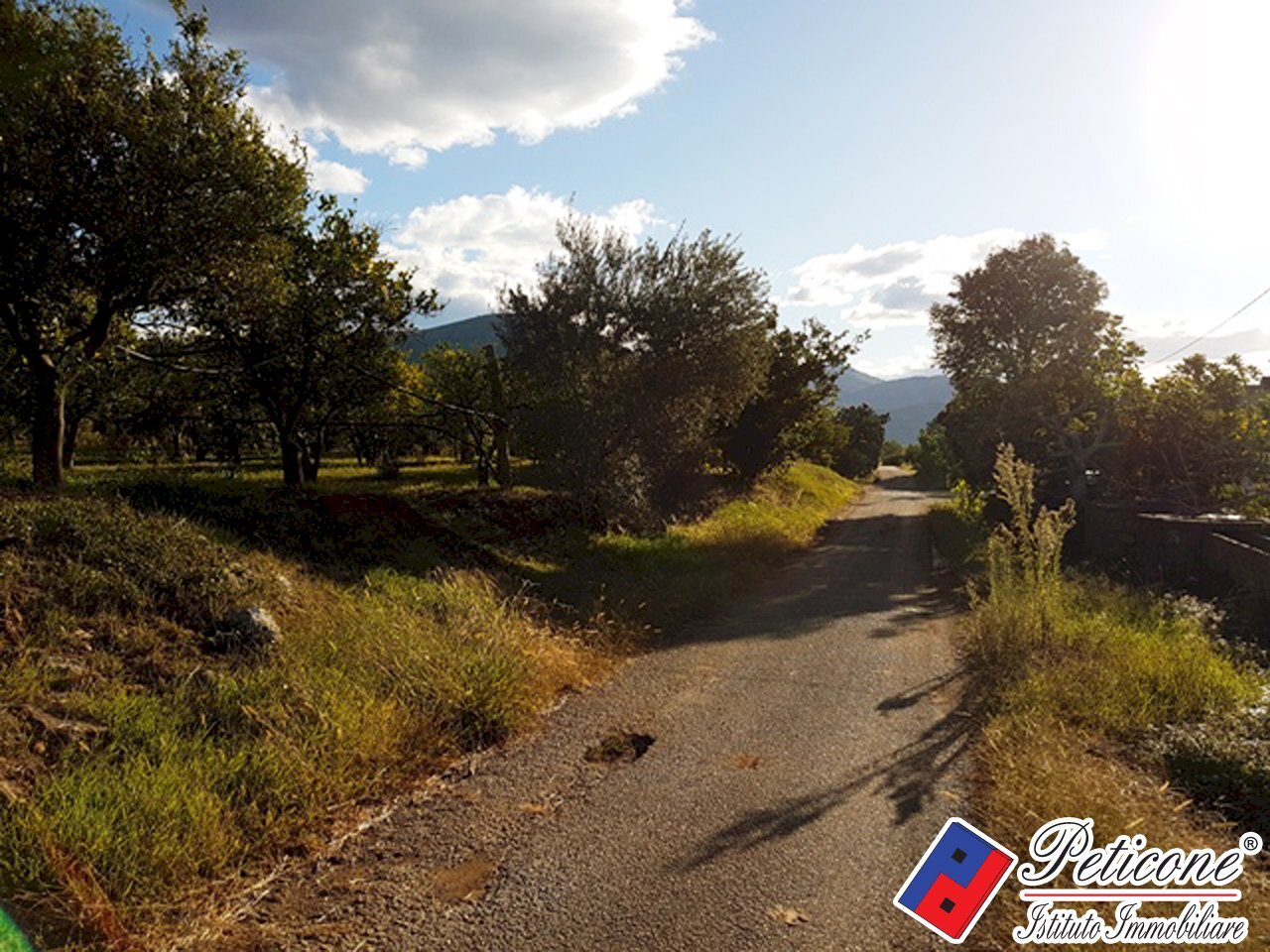 Foto 14 - Agricultural land Via Madonna degli Angeli
 
333, Fondi - photo 2