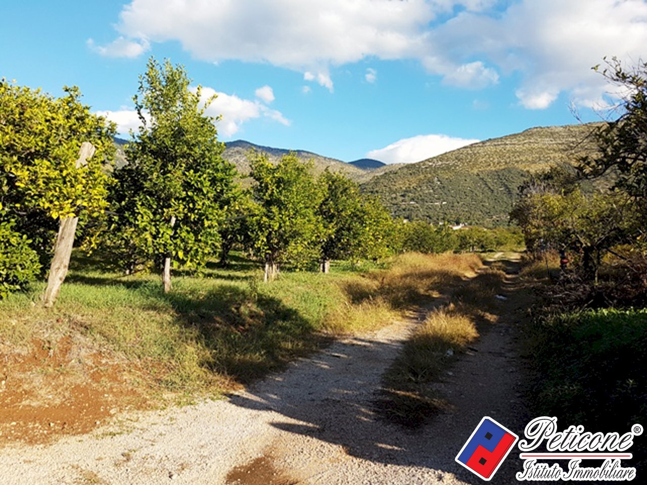 Foto 15 - Agricultural land Via Madonna degli Angeli
 
333, Fondi - photo 3