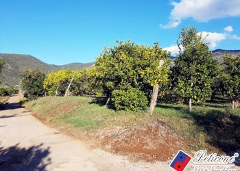 Foto 13 - Terreno agricolo Via Madonna degli Angeli
333, Fondi - foto 1