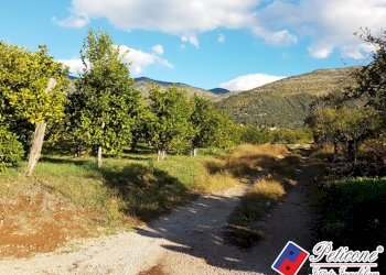 Foto 15 - Terreno agricolo Via Madonna degli Angeli
333, Fondi - foto 3