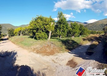 Foto 16 - Terreno agricolo Via Madonna degli Angeli
333, Fondi - foto 4