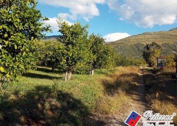 Foto 17 - Terreno agricolo Via Madonna degli Angeli
333, Fondi - foto 5