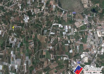 Foto 23 - Terreno agricolo Via Madonna degli Angeli
333, Fondi - foto 10