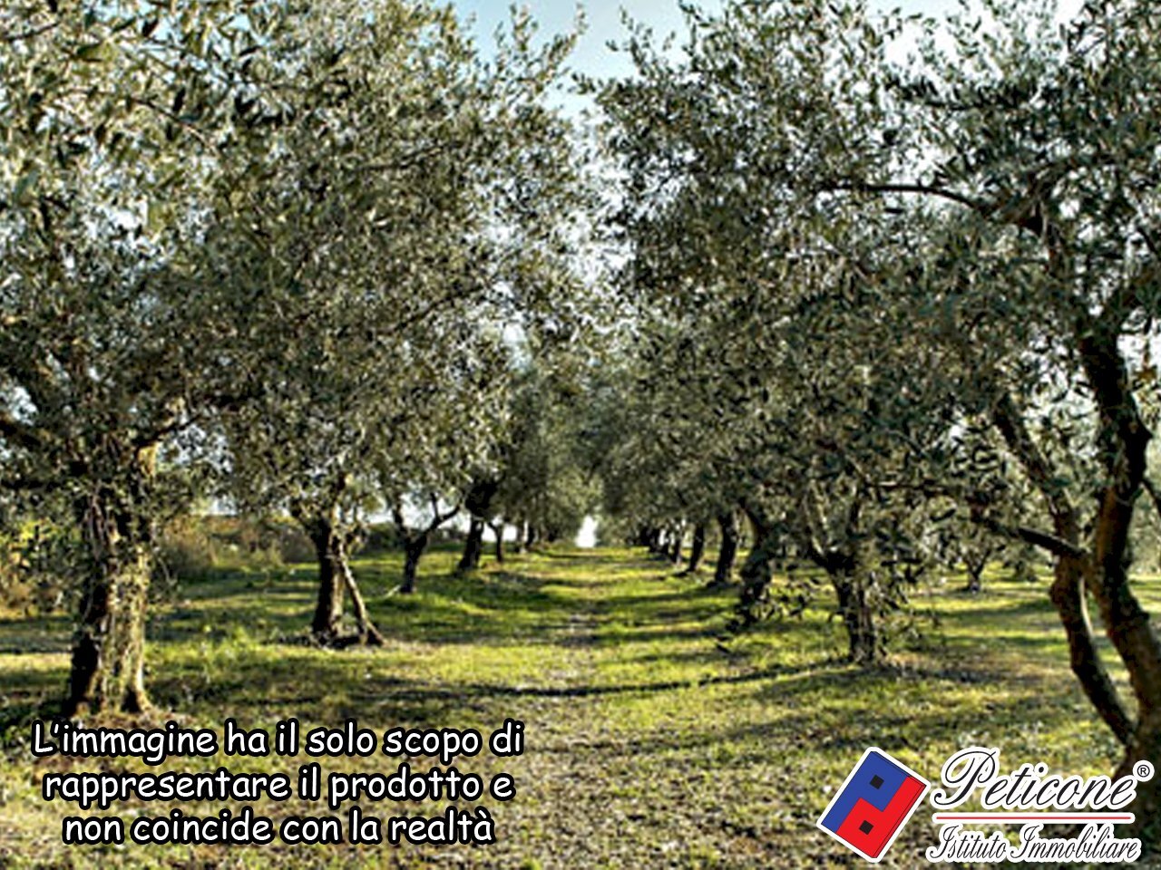 Foto 6 - Agricultural land Valle Bernardo
12, Lenola - photo 2