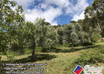 Foto 7 - Agricultural land Valle Bernardo
 
12, Lenola - photo 3