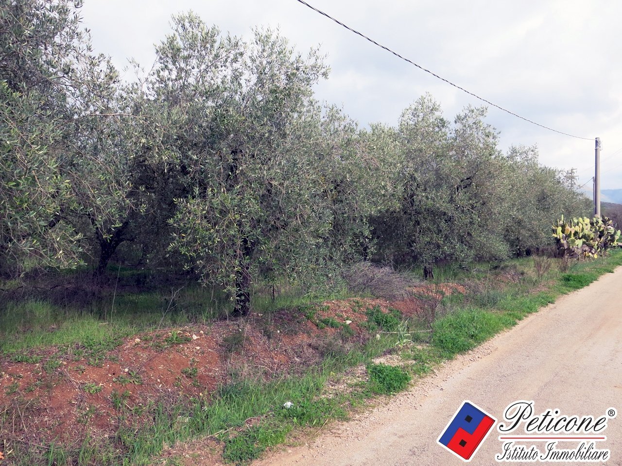 Foto 12 - Terreno agricolo Via Cesullo
 
333, Fondi - foto 2