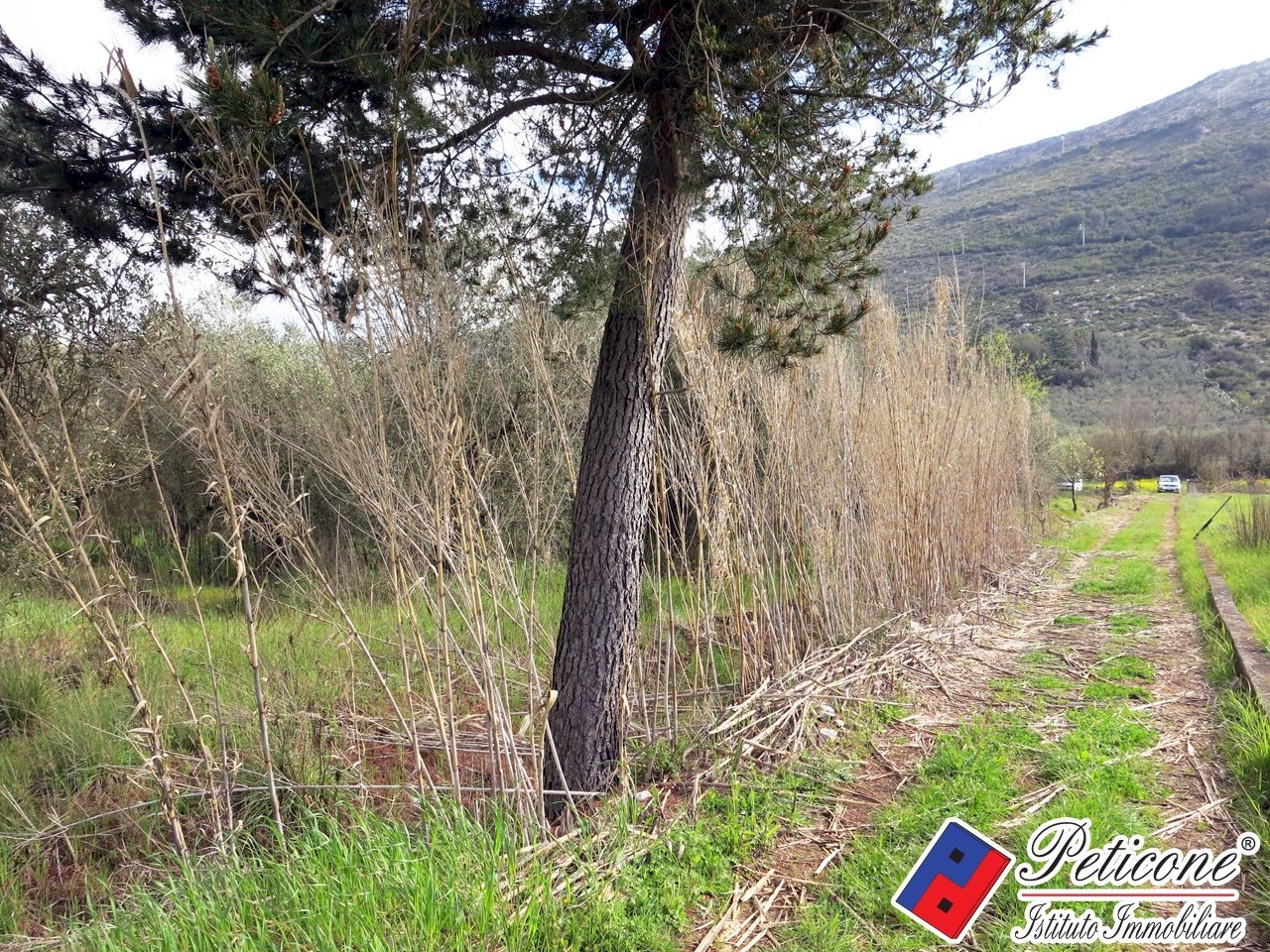 Foto 13 - Terreno agricolo Via Cesullo
 
333, Fondi - foto 3