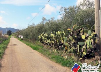 Foto 11 - Terreno agricolo Via Cesullo
333, Fondi - foto 1