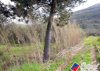 Foto 13 - Terreno agricolo Via Cesullo
333, Fondi - foto 3