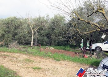 Foto 14 - Terreno agricolo Via Cesullo
333, Fondi - foto 4